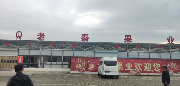 橙犀上門培訓合肥老秦果業(yè)清潔設(shè)備